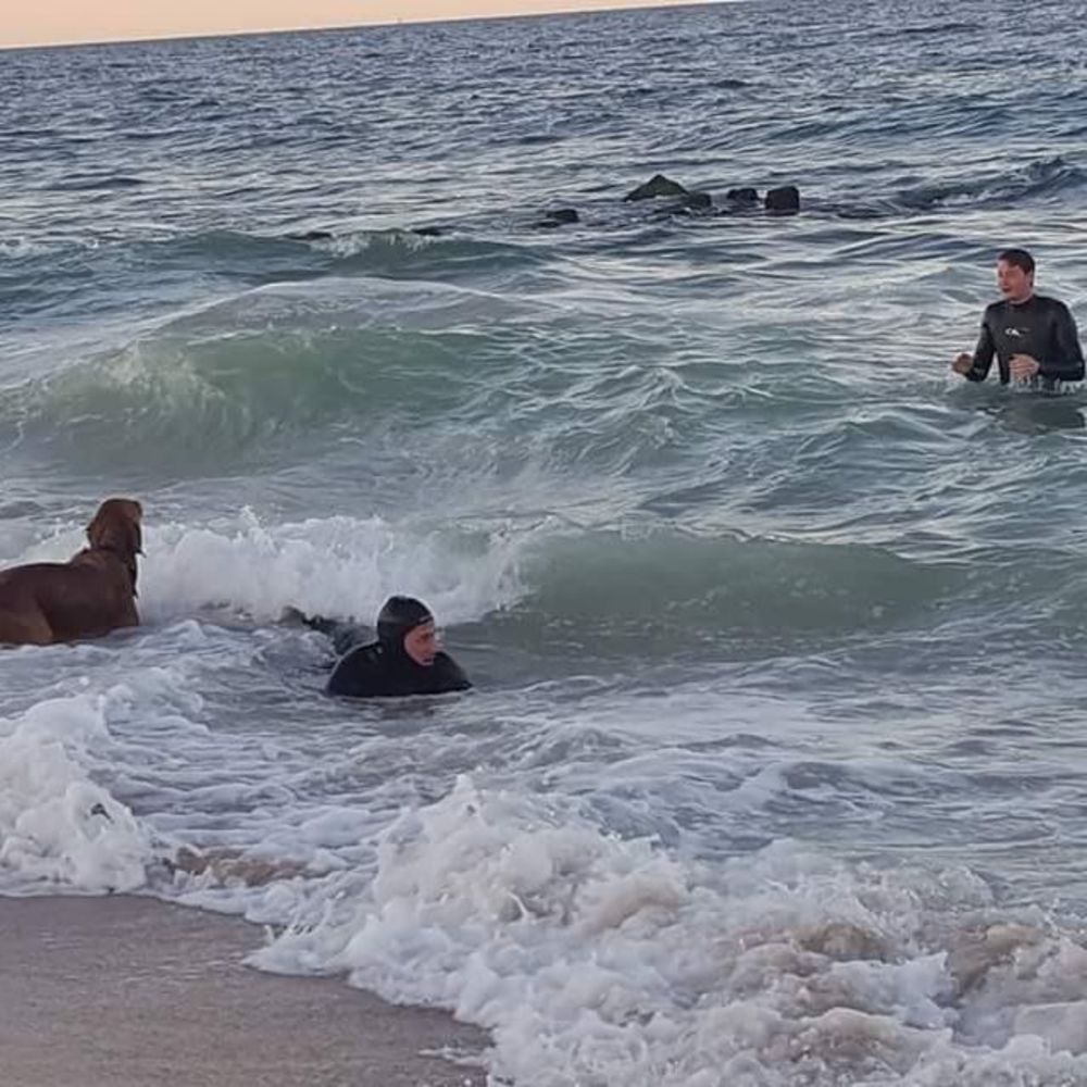 Meet your Posher, Carey